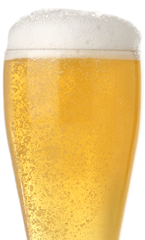 beer-1-288x476